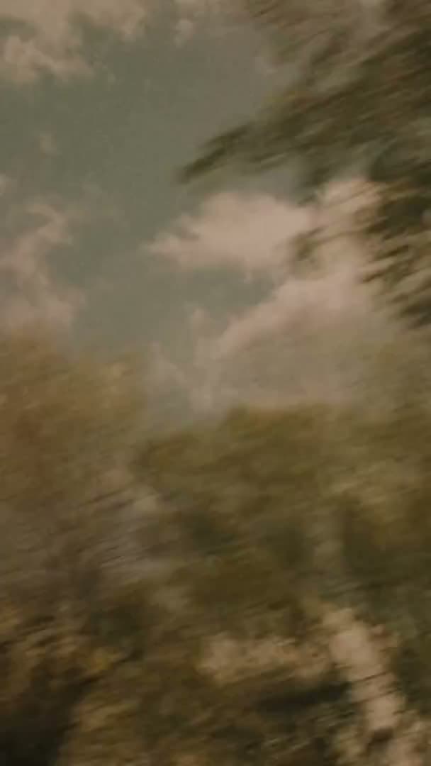 THE NEVER FALL — FILM PIECE
